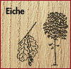 Eiche