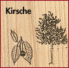 Kirsche