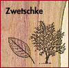 Zwetschke